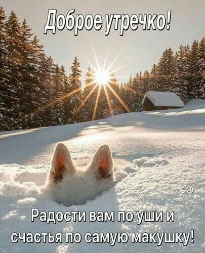 Ддбрддітёішду зам Ъ
