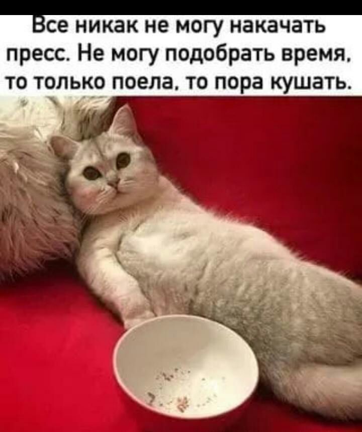 се никак не могу накачать пресс Не могу подобрать время ТО ТОЛЬКО поела ТО пора КУШЭТЬ