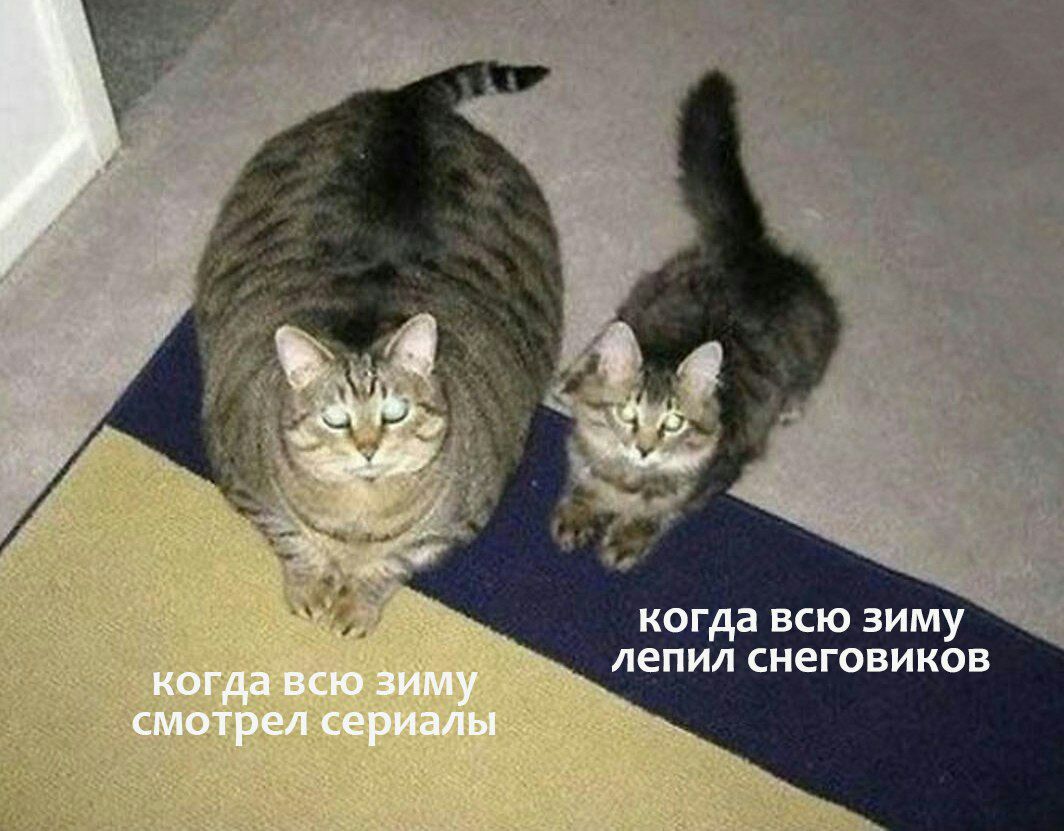 когда всю зиму лепил сиеговиков