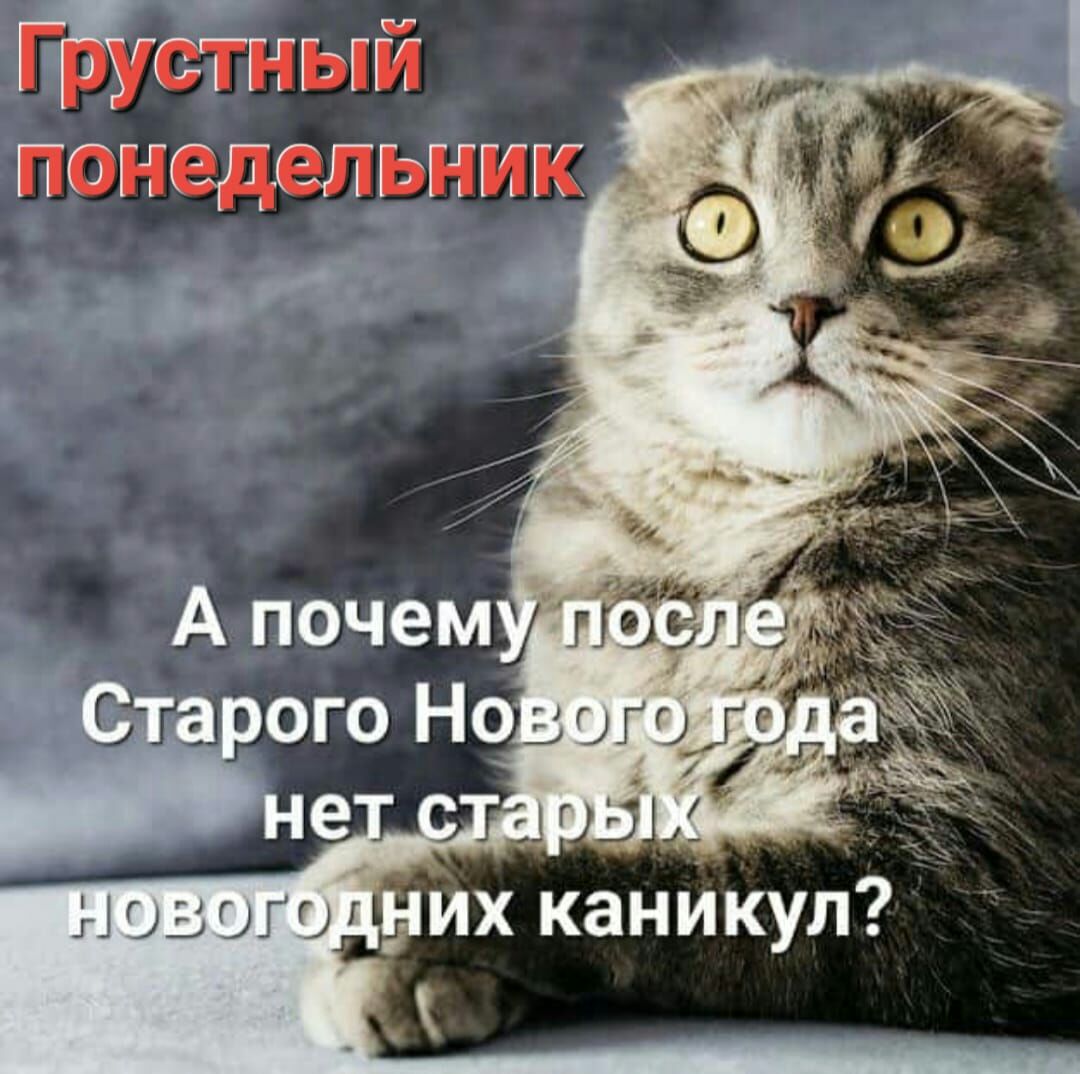 ГБГСЁПЫЙ ПОГГСДСПГЁГГГГГГ