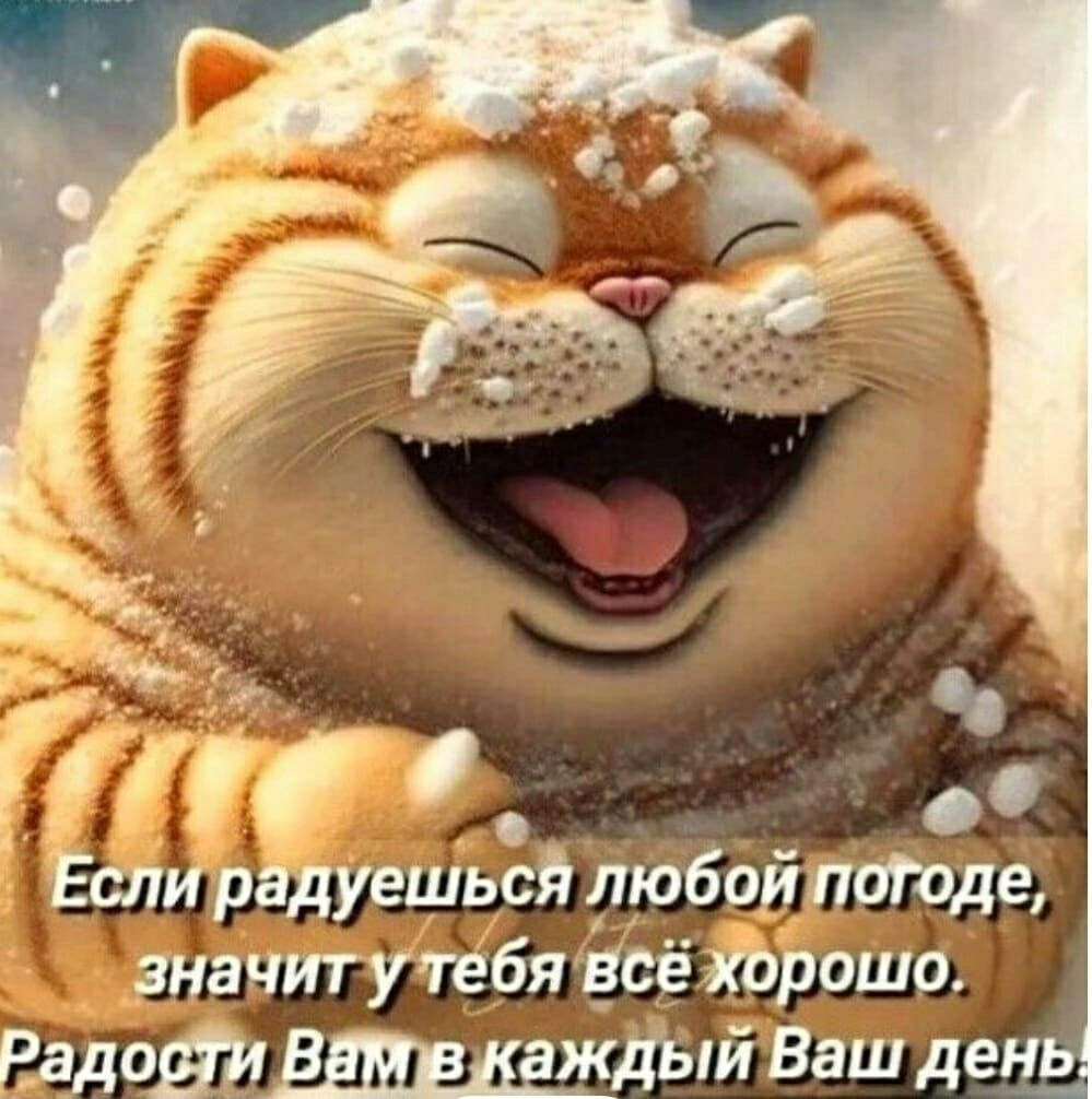 Г слир дуещься любайпогоде значитутбя всё втрошо гадощвшщйдый Зашла