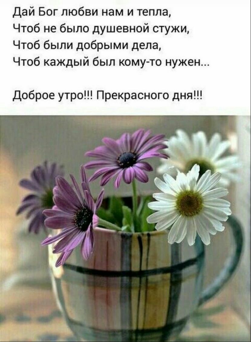 дай Бог любви нам и тепла Чтоб не было душевной стужи Чтоб были добрыми дела Чтоб каждый был кому то нужен Доброе утро Прекрасного дня