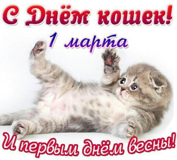 е гнёт коте 7 иа И