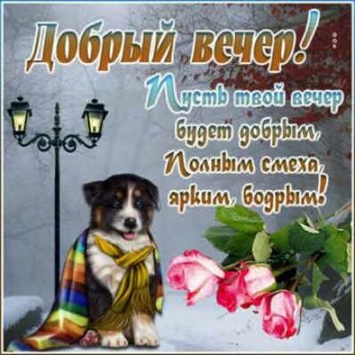 понь смеха ярішм