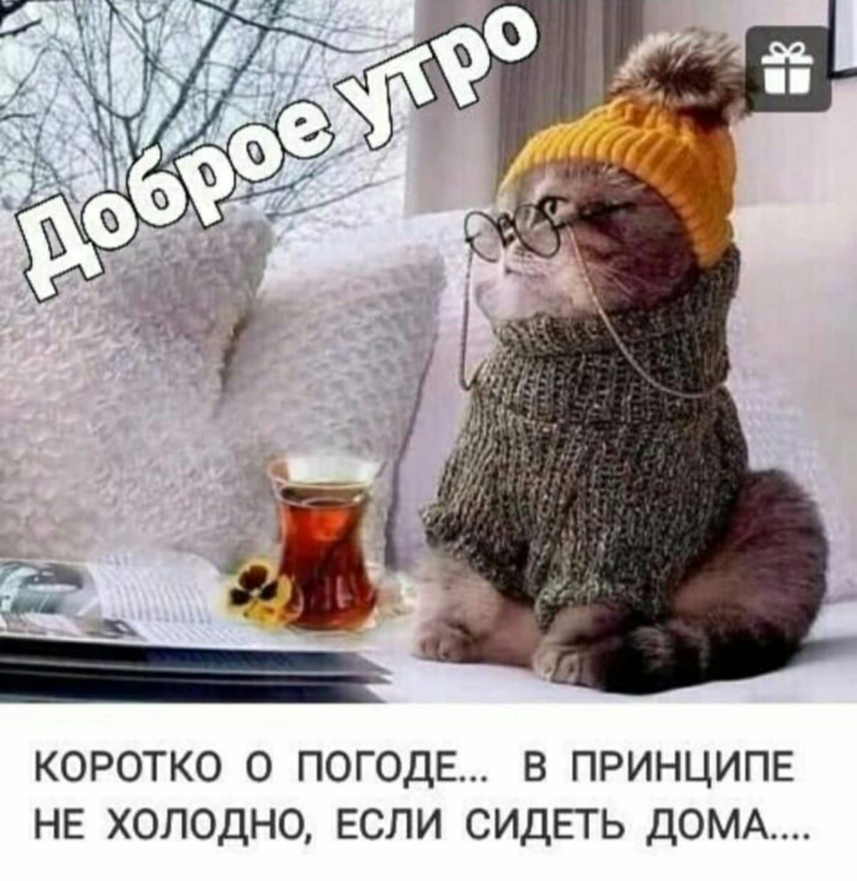 КОРОТКО 0 ПОГОДЕ В ПРИНЦИПЕ НЕ ХОЛОДНО ЕСЛИ СИДЕТЬ ДОМА