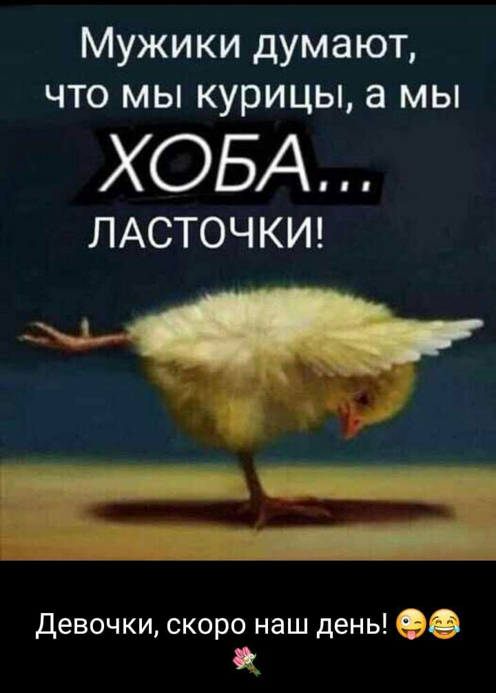 Мужики думают что мы курицы а мы ХОБА ЛАСТОЧКИ 1 в Девочки скоро наш день 0