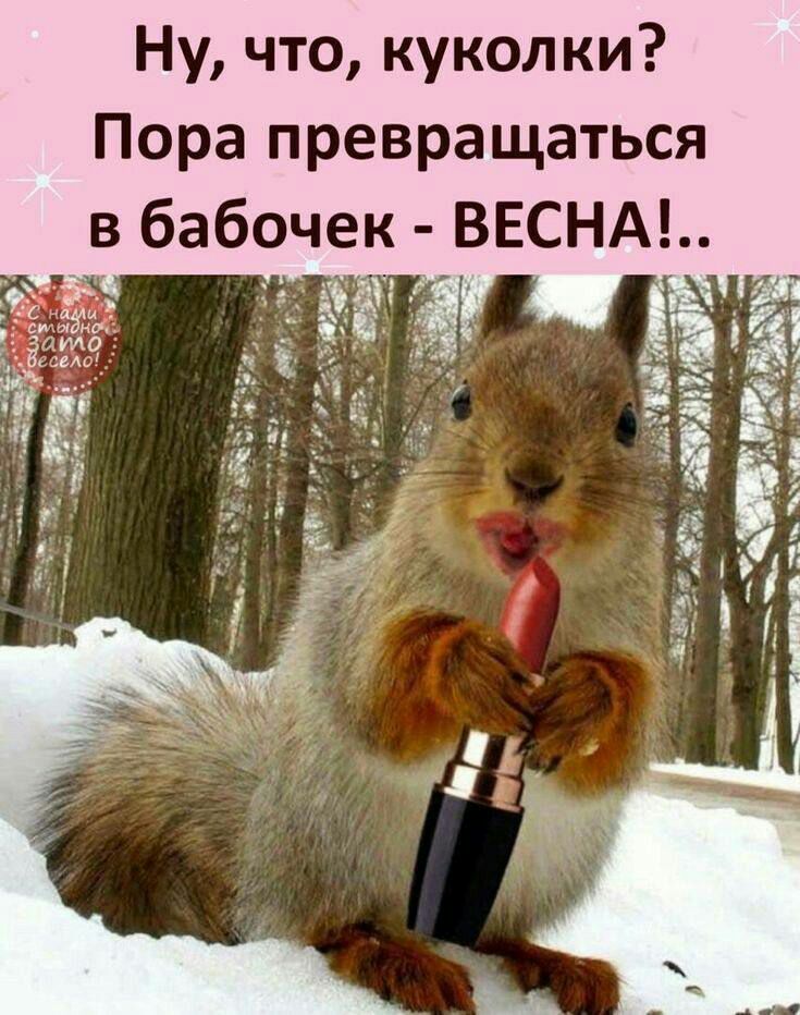 Ну что куколки Пора превращаться в бабочек ВЕСНА