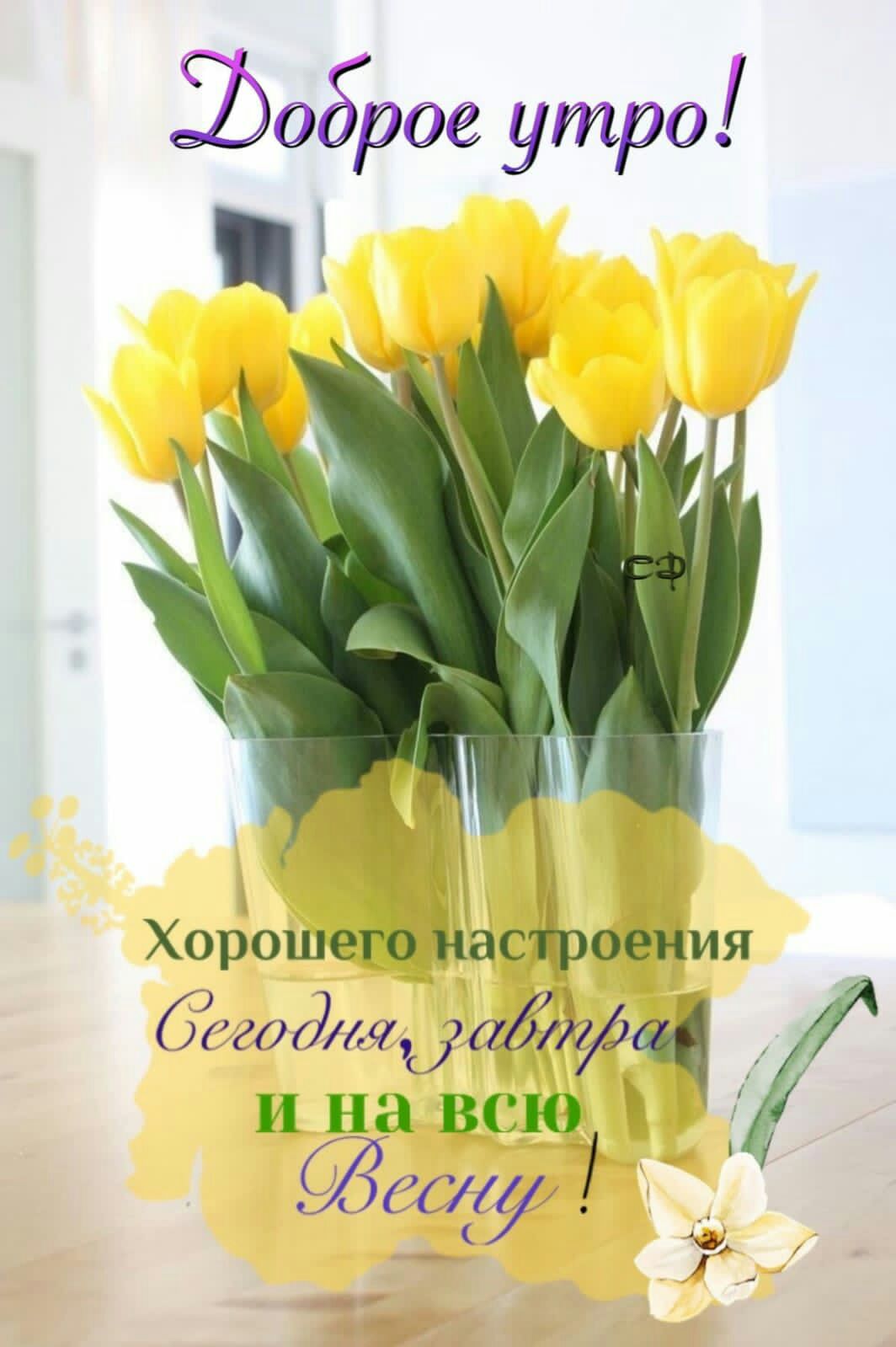 Ъоброе утро ч ъ бетаааЙфЧ инавсю ЩТ _ ж