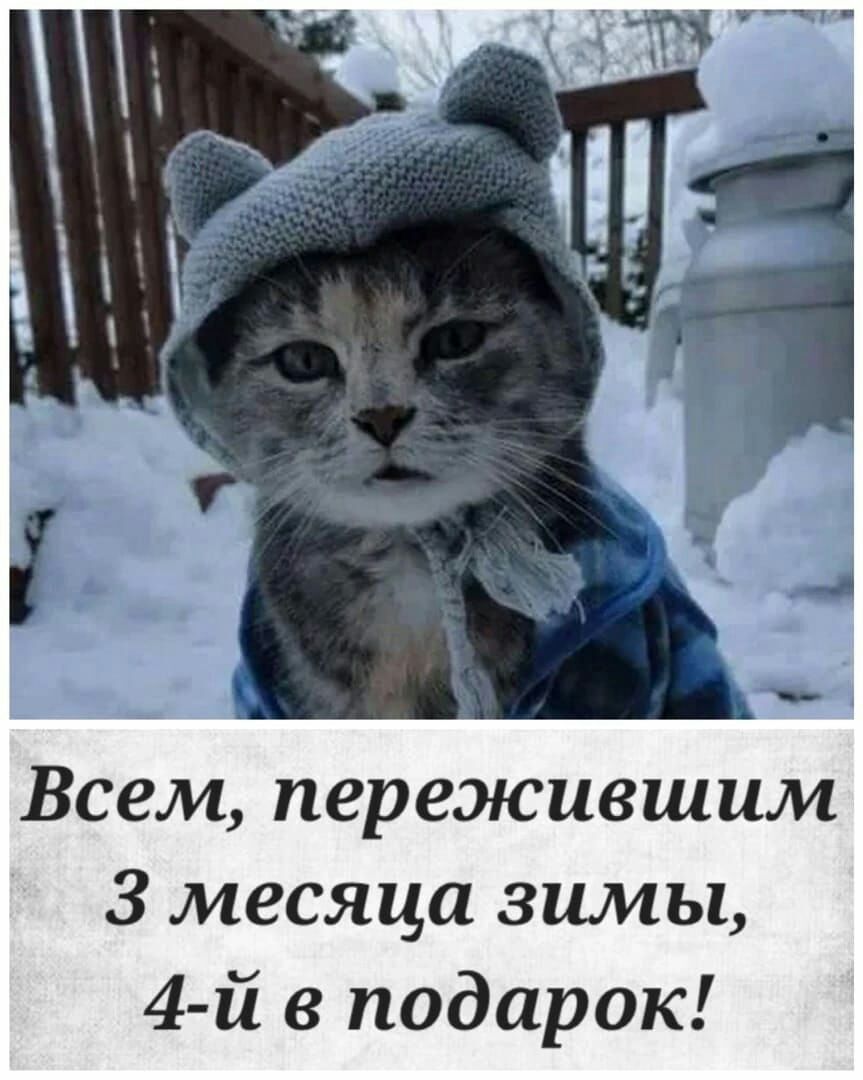 Всем пережившим 3 месяца зимы 4 й в подарок