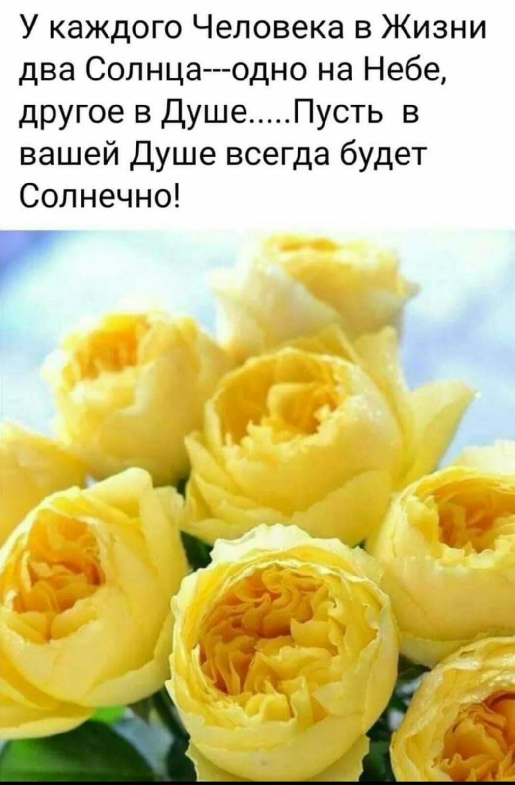 У каждого Человека в Жизни два Солнца одно на Небе другое в Душе Пусть в вашей Душе всегда будет Солнечно Р
