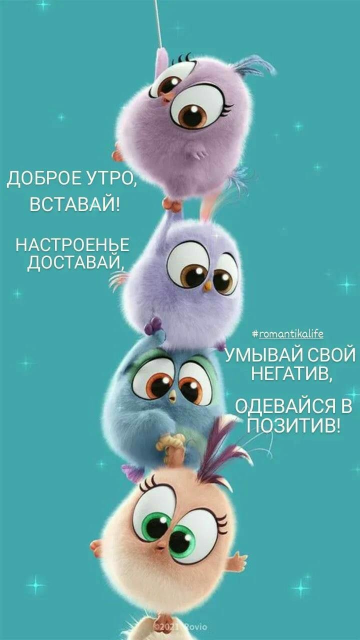 ДОБРОЕ УТРО ВСТАВАЙ НАСТРОЕНЬЕ достдвди штат мицпіе МЫВАЙ СВОЙ НЕГАТИВ О ЕВАЙСЯ В ОЗИТИВ