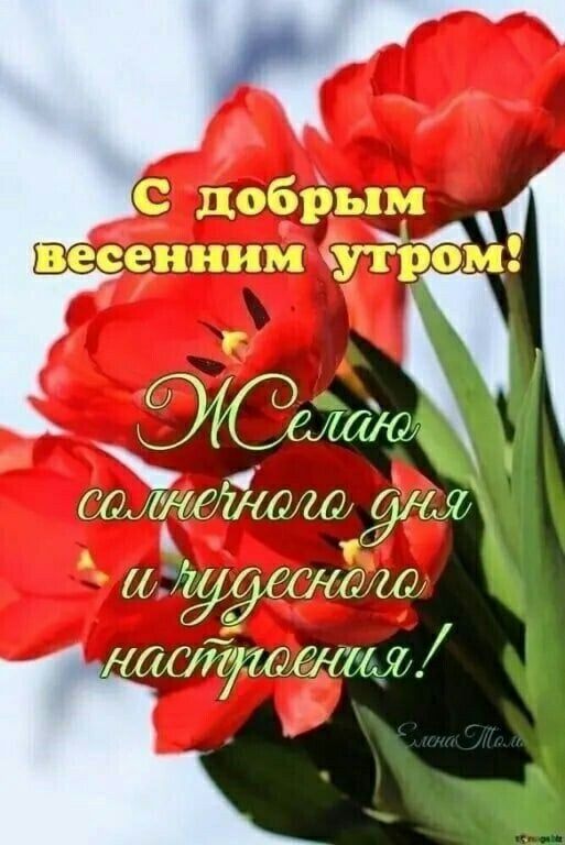 91 дд т тдтт 91 уд т насГуттмт