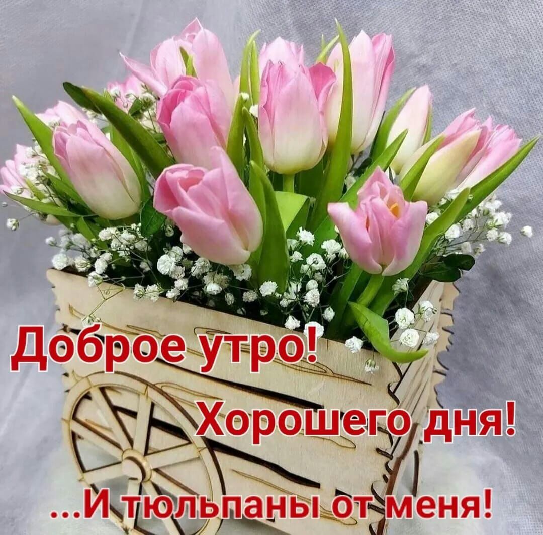 Меня Йдіфёцщыдтэ