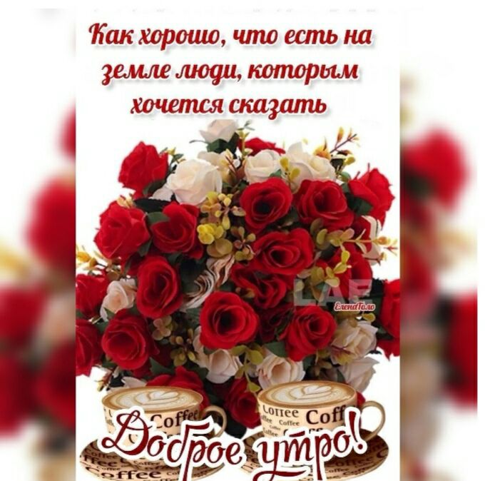 Как хорошо что шт на земие люуи титра хочется сказать