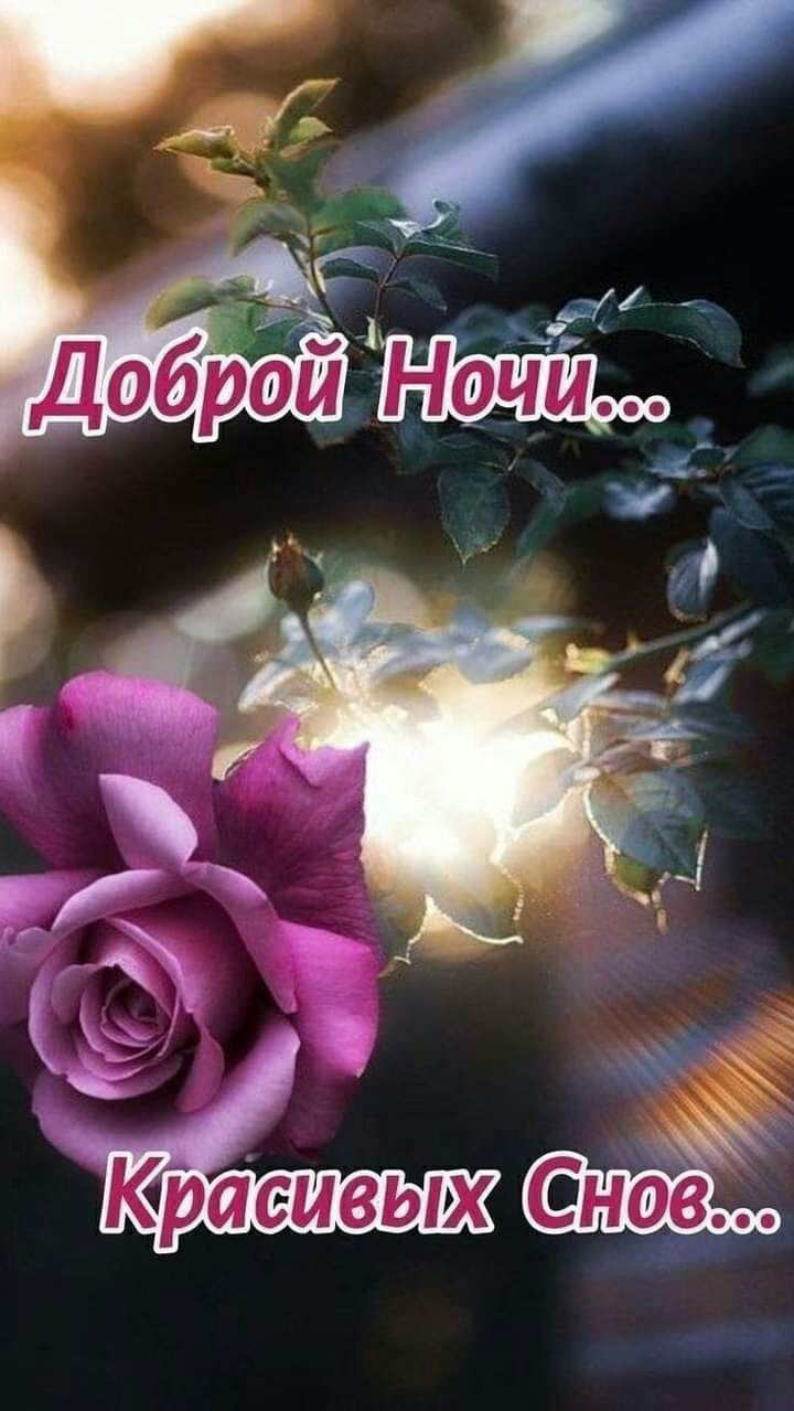 1 К _ юраеивых ноё