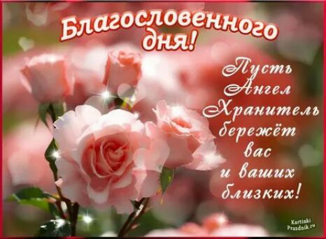 тактика тп изм еХрапитмя бережёт бас