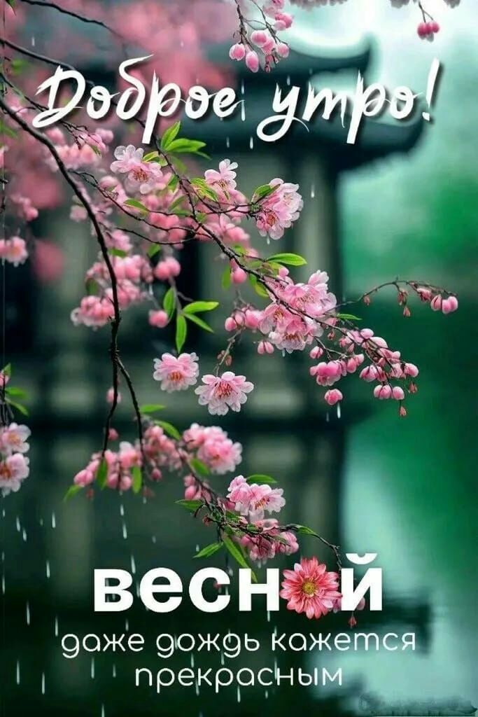 КО 9ож9ь 9оже Нь рёкррч п