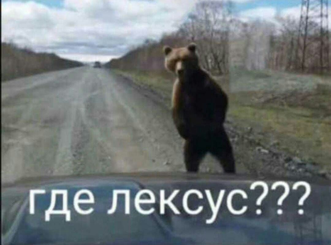 7 где лексус