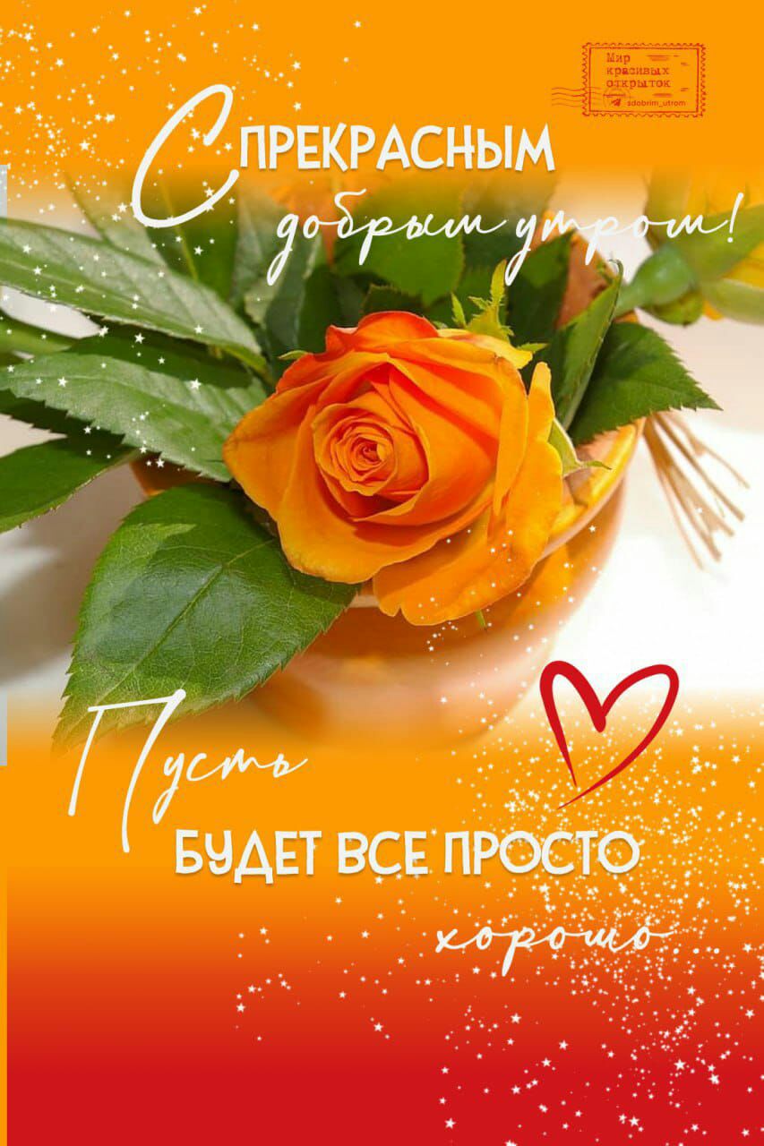 ПРЁКРАСНЫМ