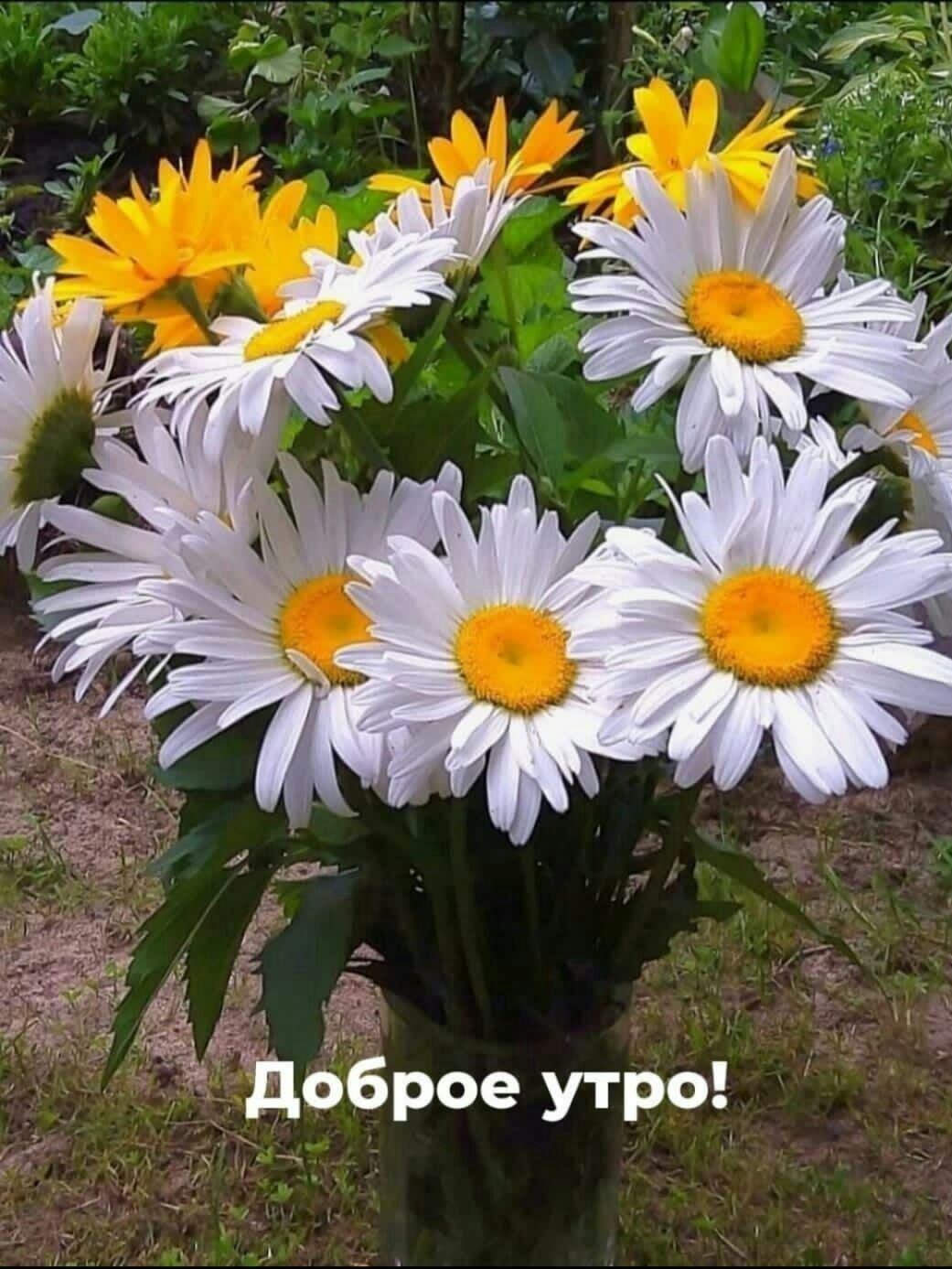 вг 75 11 д оброе утр