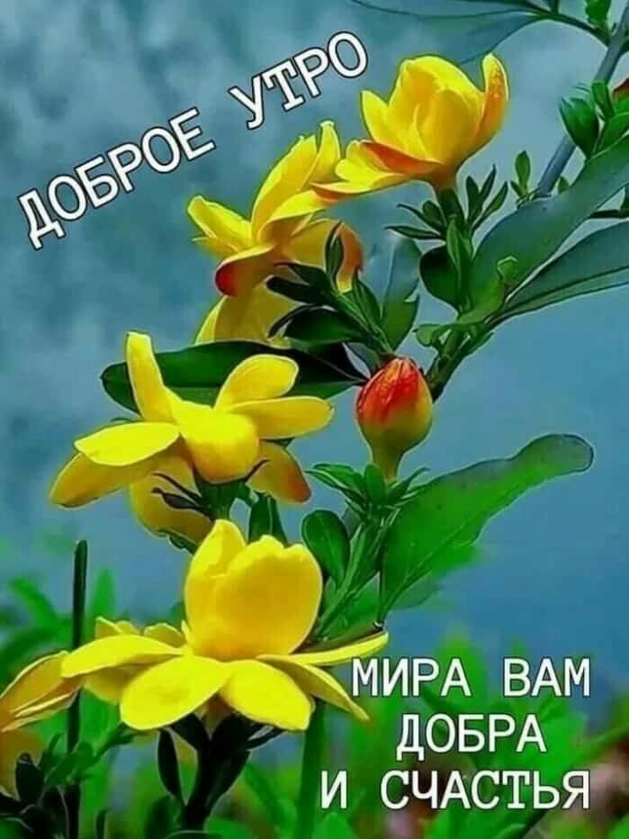 Жим ВАМ ДОБРА И _ЗЧАСТЬЯ