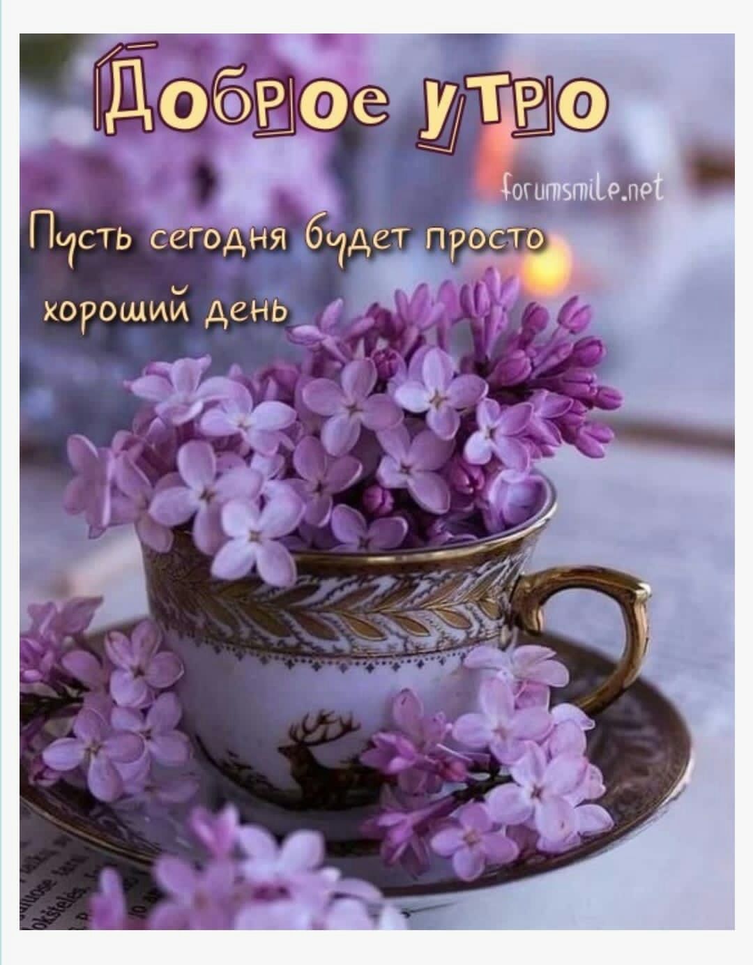 Пчсть ССР ЁЧЬ хорошим день гд