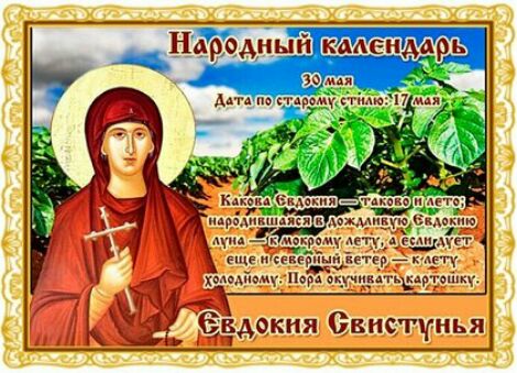 Птдііып Ъ