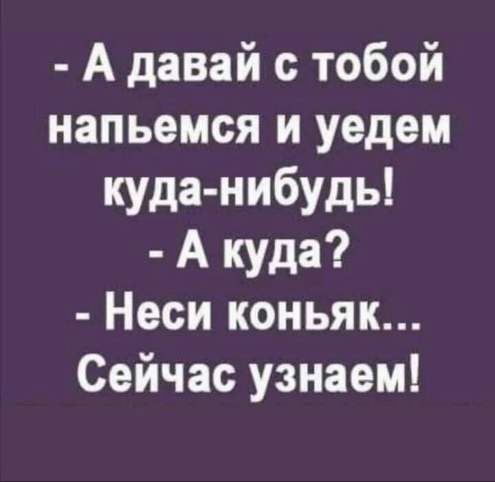 А давай с тобой напьемся и уедем куда нибудь А куда Неси коньяк Сейчас узнаем