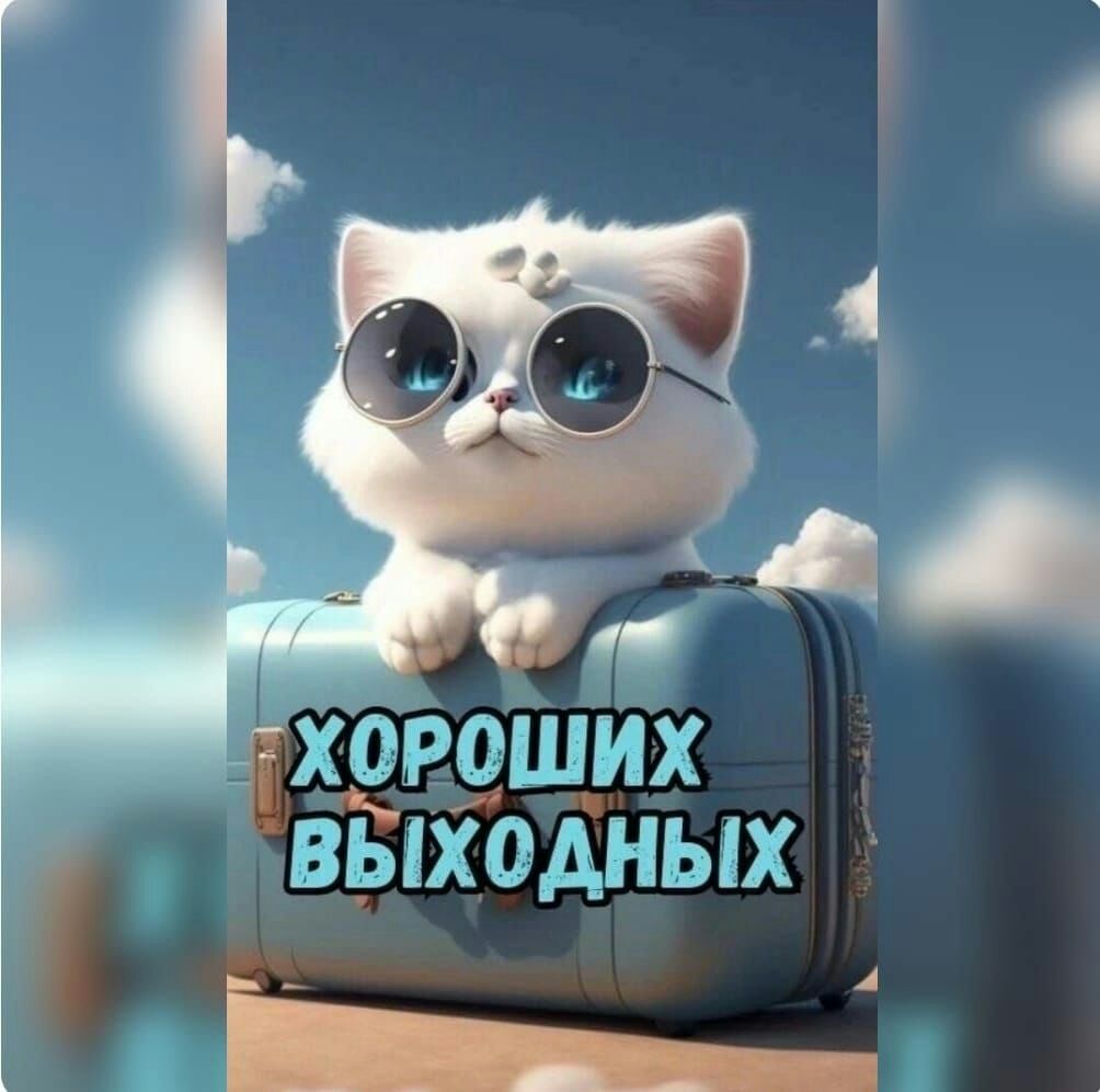ігттппт АШЗМЁЬШ і