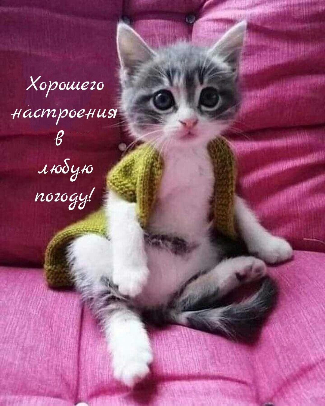 Х орашего дастпоели 5 4 108910 511020591