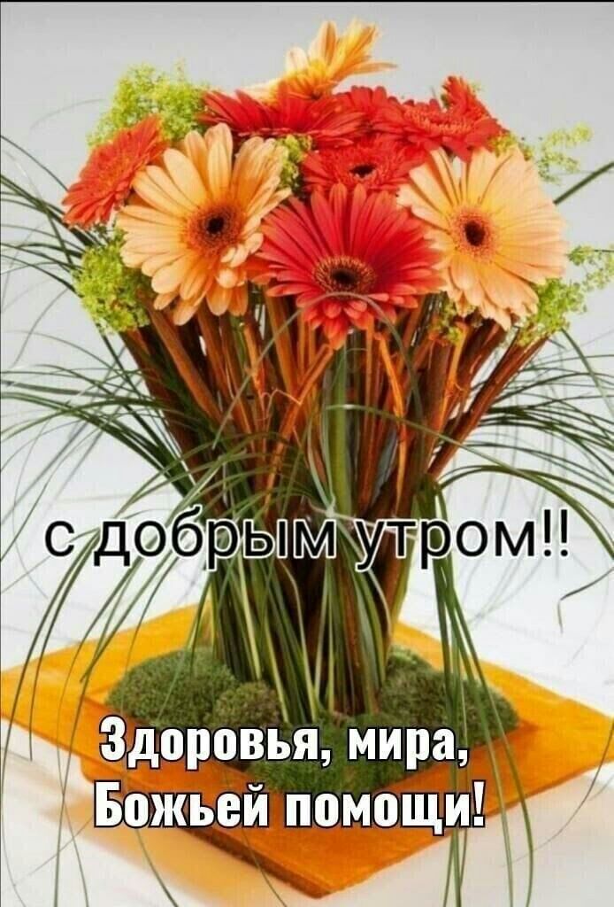 ц Здоровья м