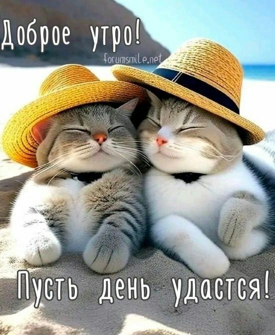 Доброе утро титзтціемд день удастся Пусть