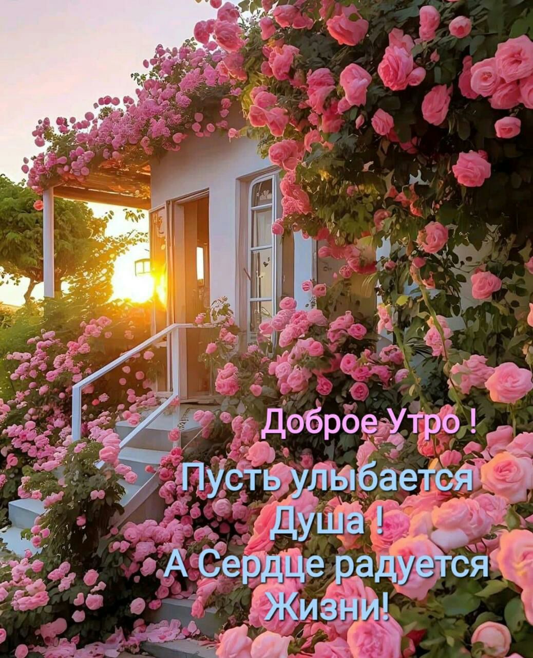 Ёна в доброедхтш у _