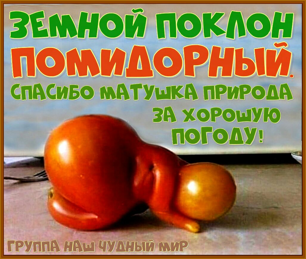 важной поклон списиво матушки ПРиРоЪА за хорошую погоду
