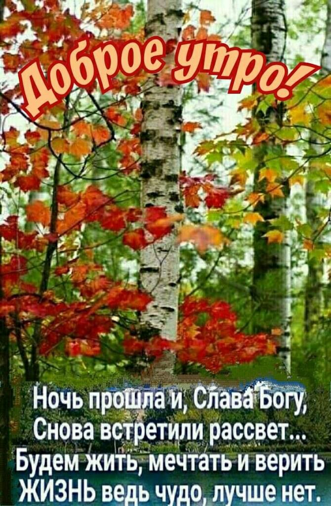 Снова в СТИЛИ рафрет_ Будем киімечи верить ЖИёНЬ