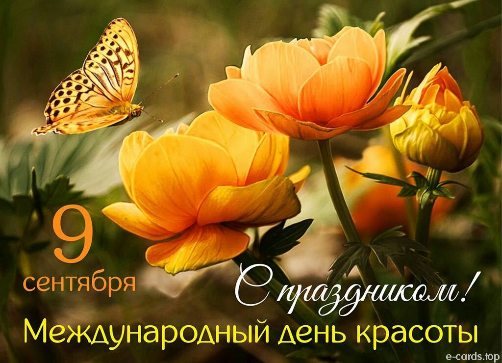 сентябряжкёд МеЖАународ ый Ае нь красоты