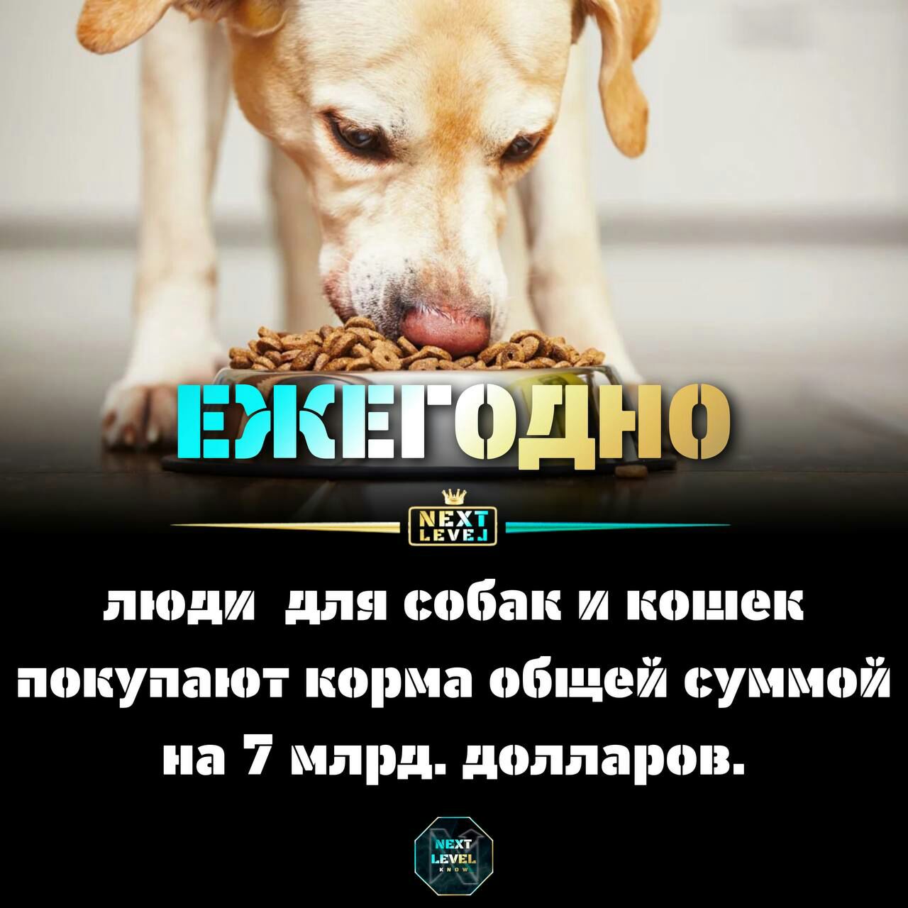люди для Бан и кошек покупают корма общей сушит на 7 мпрд долларов