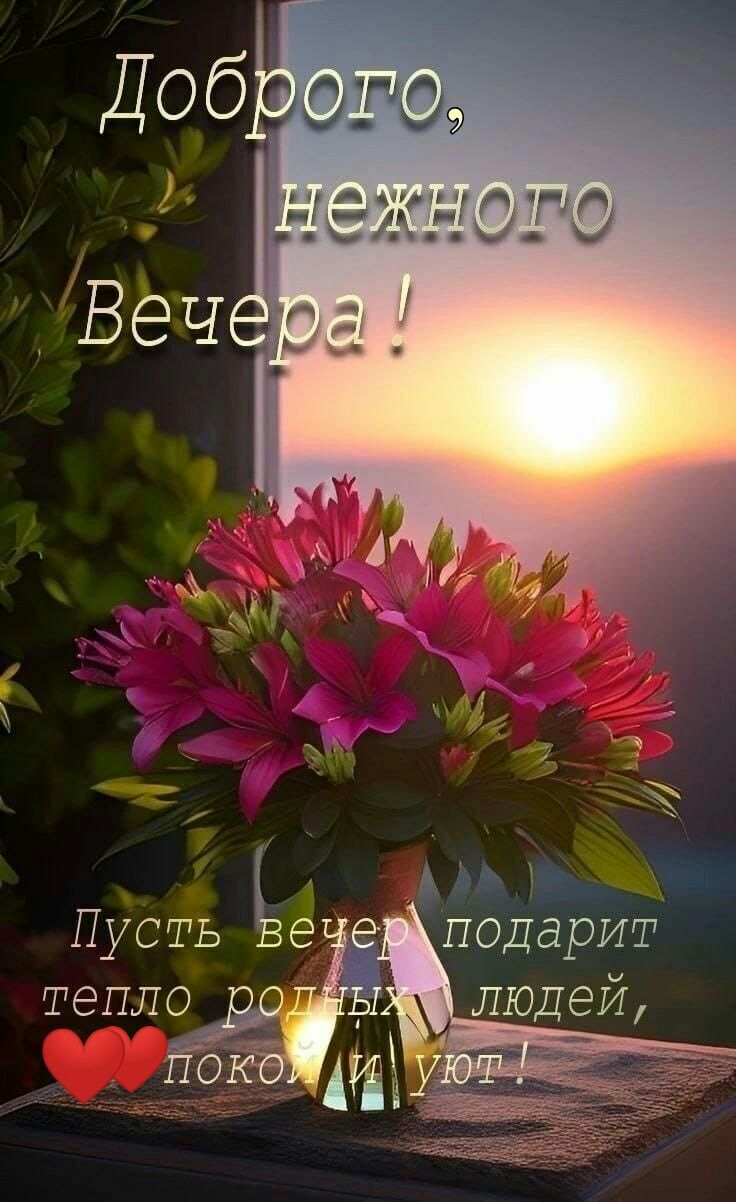 5_ _ 5 _ Чи Пусть Ы е подарит тепло 1707