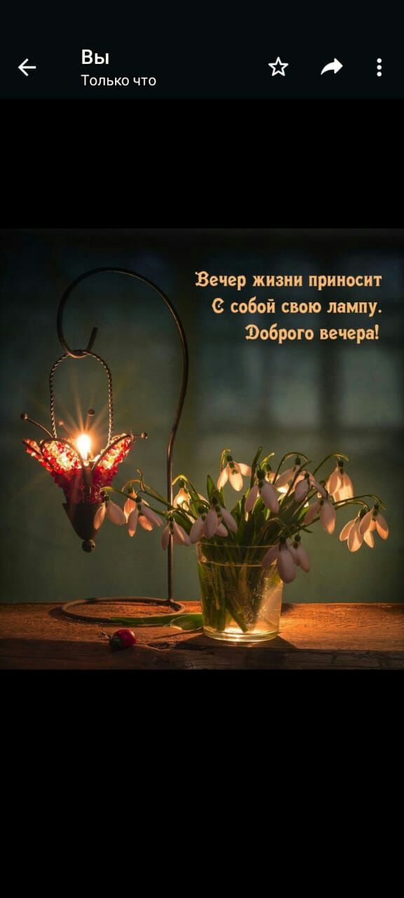 вы Только что