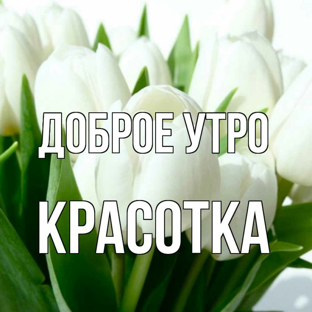липЫрёштрш РАВИ ПТКА