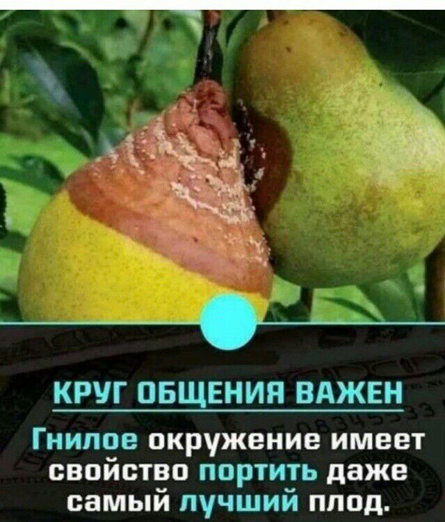 а КРУГ ОБЩЕНИЯ ВАЖЕН Гнипое окружение имеет свойство портить даже самый лучший пппд