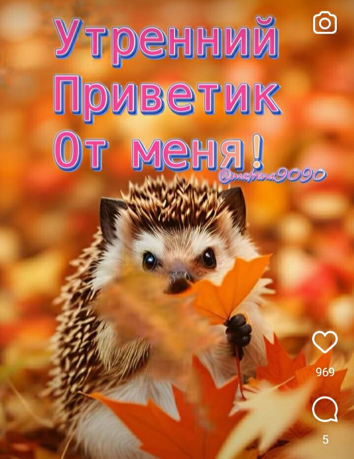 раций _ Ирма етих чВЫ 31 9 21 Ё О Г мм