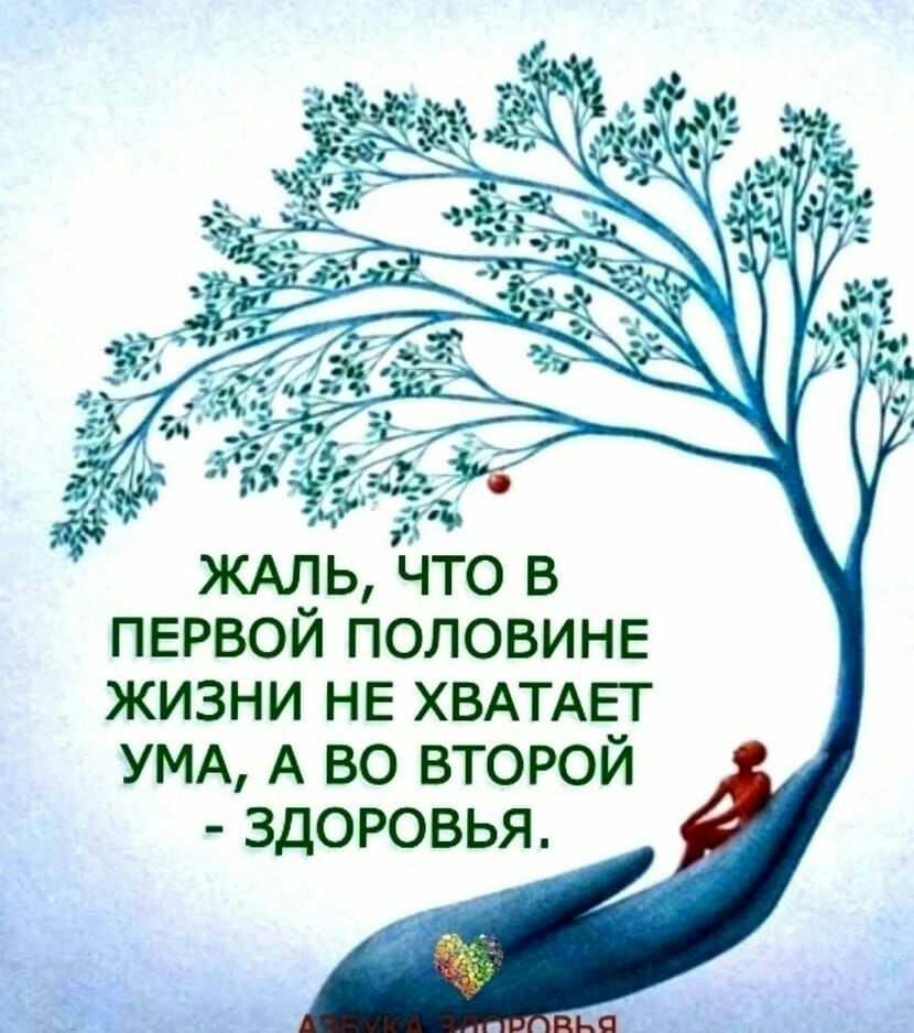 первой половине жизни НЕ ХВАТАЕТ УМА А во второй здоровья