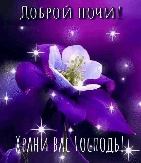 ДОБРОИ НОЧИ хвАЁЁвдбіосгГОД