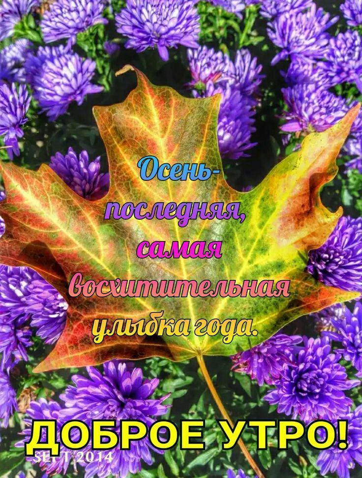 Ьвгшш тглммшя