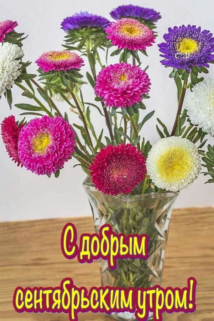 е аетябрьеким ТО