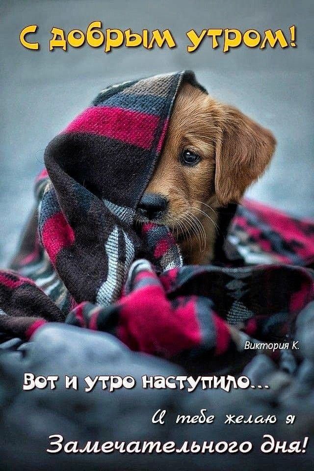 Ме желаю я Замечательного дня