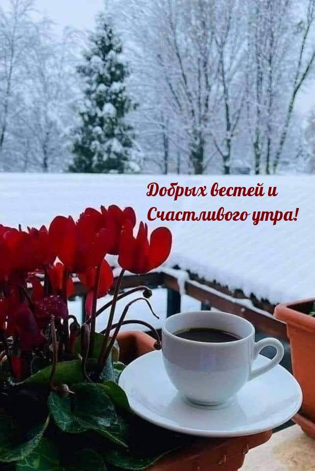 а й з е лолеь 2 сого утра