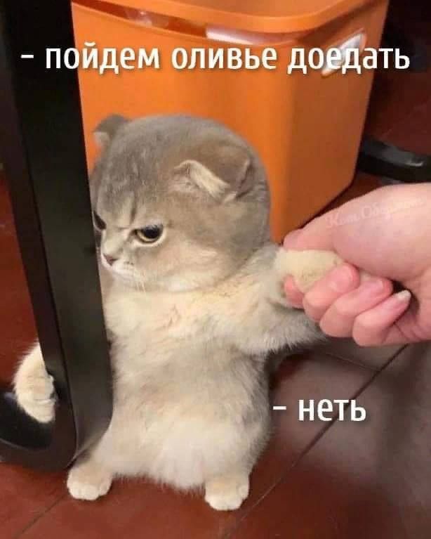 поидем оливье дЫать