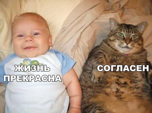 СОГЛАСЕН г т А